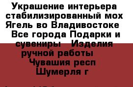 Украшение интерьера стабилизированный мох Ягель во Владивостоке - Все города Подарки и сувениры » Изделия ручной работы   . Чувашия респ.,Шумерля г.